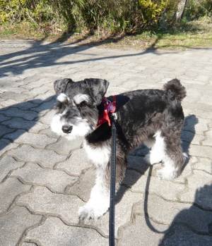 2011/03/05(1)