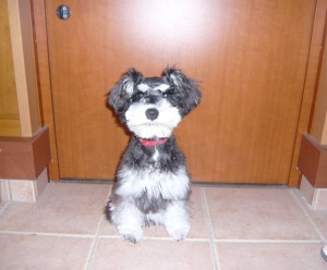 2012/01/15(2) 2012/01/15(2)