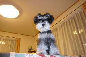 2012/01/14(2) 2012/01/14(2)