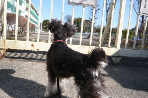 2012/01/29(1) 2012/01/29(1)