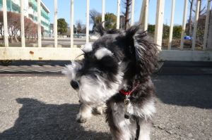 2012/01/29(2) 2012/01/29(2)