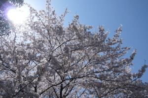 2012/4/8