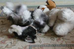 20120811(2)