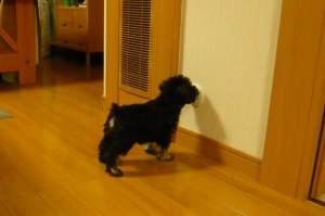 充電中？